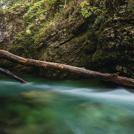 Casa vacanze 2 Bedroom Stunning In Stari Trg ob Kolpi